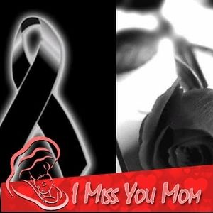 Meet your Posher, Febra